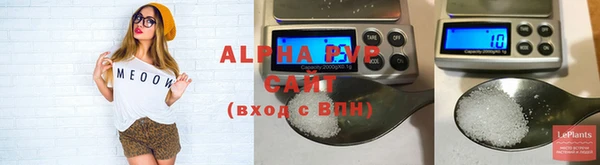 спиды Снежногорск