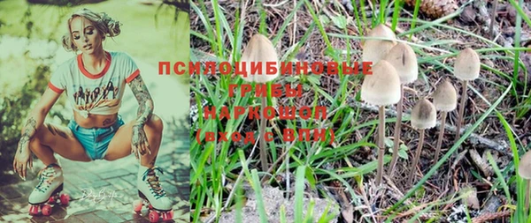 мдма Богородицк